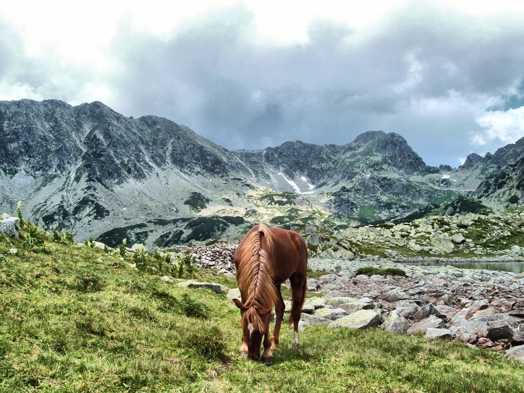 Muntii Retezat, Romania